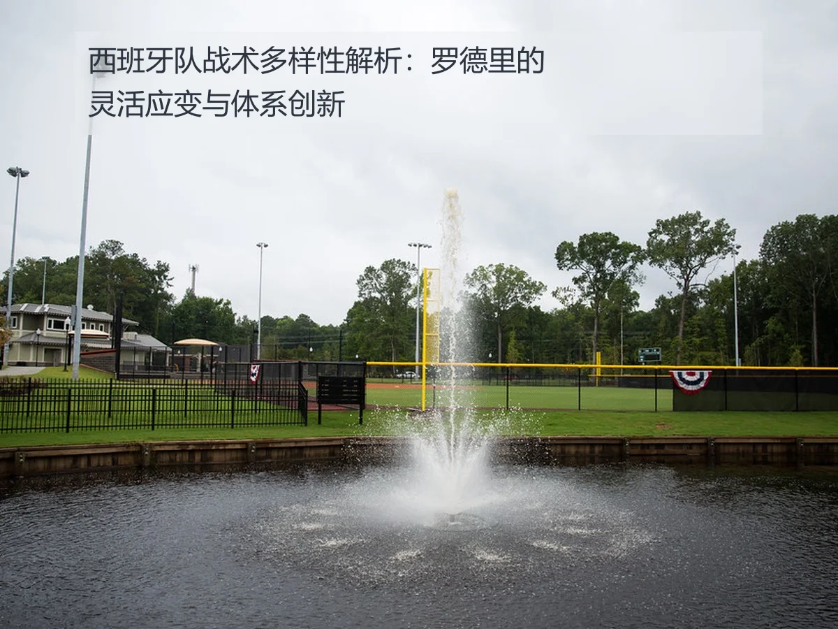 西班牙队战术多样性解析：罗德里的灵活应变与体系创新